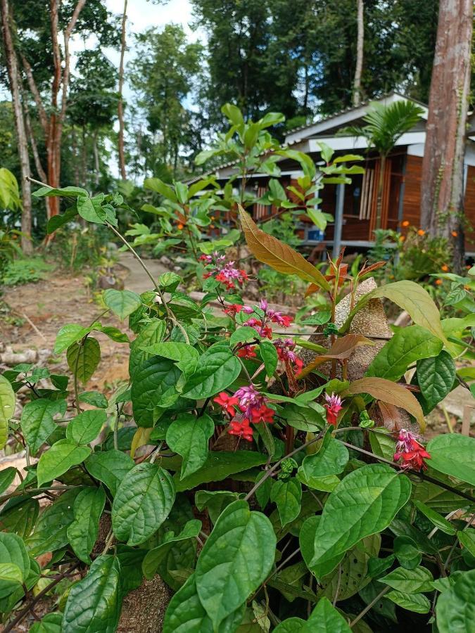 Ban Lak Uan Good Time Resort Koh Kood المظهر الخارجي الصورة